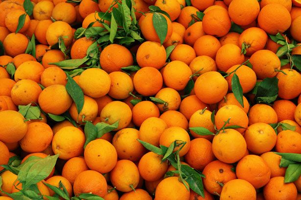 What You Should Know About Vitamin C Megadoses