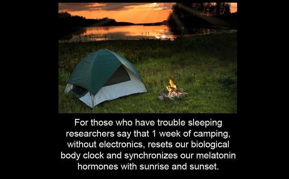 Camping and Your Biological Clock